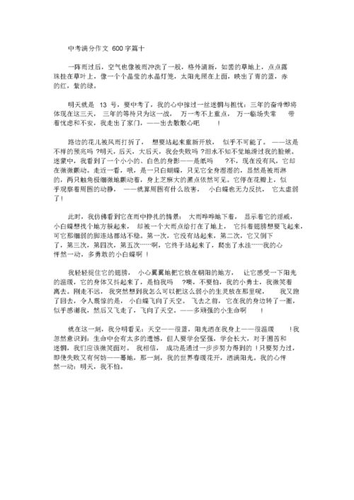 满分作文300