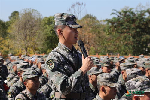 行装是什么意思