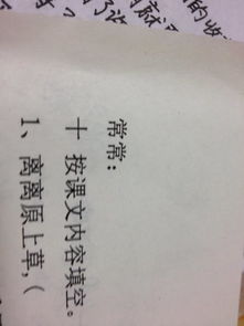 常常造句