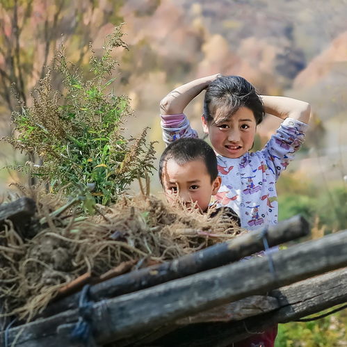 忸怩拼音，忸怩作恋