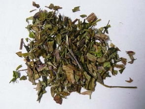 中草药:梓实的功效与作用
