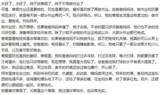 我快乐的寒假作文