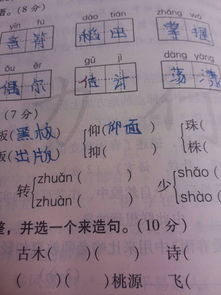 扮组词，掀组词