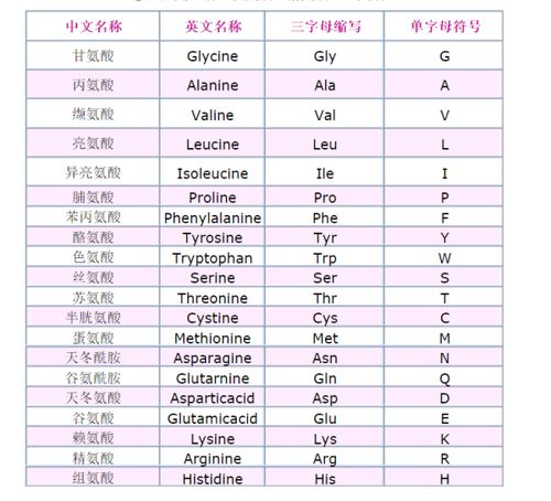 蛋白质用英语怎么说