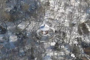 用虬结造句(大约30个左右)