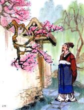 游园不值的诗意简短20字，游园不值的诗意解释与道理