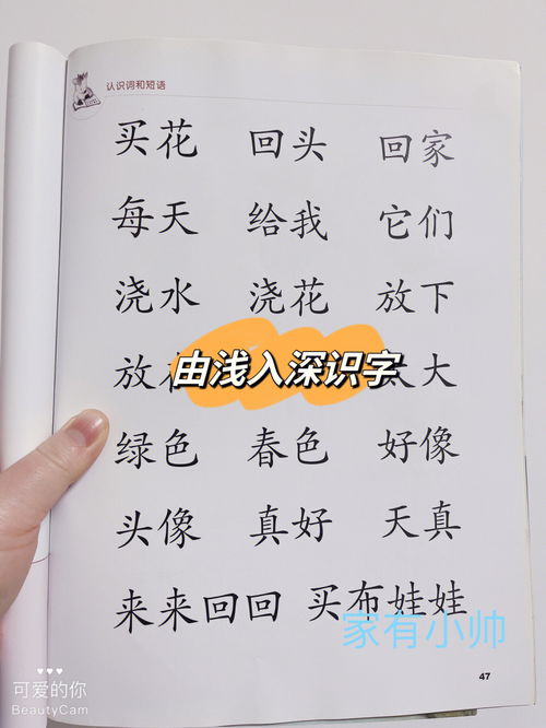 护组词 护字怎么组词