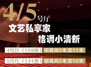 档期是什么意思啊