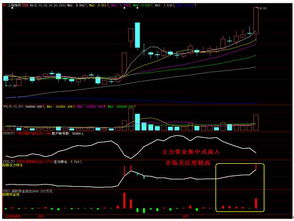 如何选择热门股?