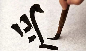 袭部首是龙吗，袭部首拼音组词