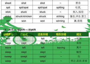 语文动词有哪些