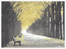 “听雨危楼”是什么意思?