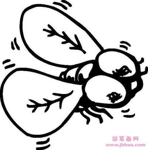 虫字的笔画名称