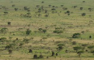 博茨瓦纳是哪个洲的国家