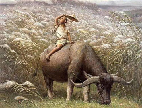 放牛娃的故事，放牛娃的图片大全大图