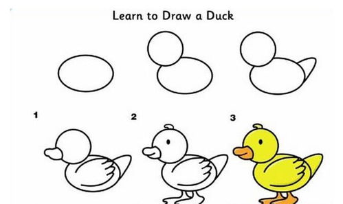 动物画画大全简单可爱，动物画画大全简单 儿童