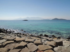 历史上安南之役是怎么发生的?