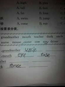 nurses是什么意思，she is a nurse是什么意思