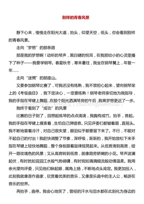 别样的风景作文800字