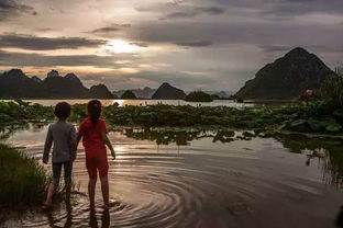 带月荷锄归的上一句秽，带月荷锄归的妙处
