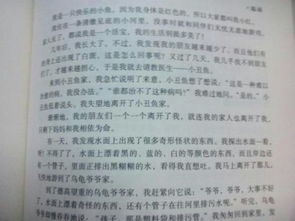 懂得珍惜作文600字