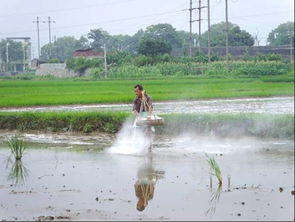 氧化钙加水化学方程式放热吗，氧化钙加水化学方程式配平