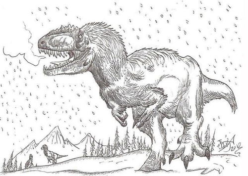 带有羽毛的恐龙化石