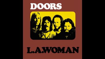 什么是 DOORS