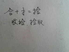 二年级合加什么偏旁，合加什么偏旁等于什么