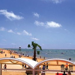 奉贤海湾旅游区奉贤海湾旅游区规划