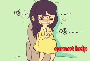 violin是什么意思啊英语怎么读，wolf是什么意思