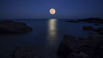 忧愁不能寐,揽衣起徘徊。 客行虽云乐,不如早旋归。 出户独_百度知