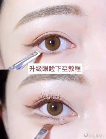 眼睑意思解释