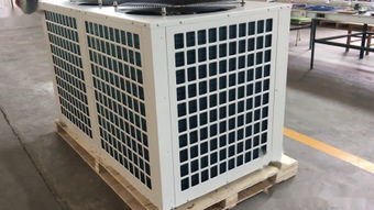 conceal是什么意思