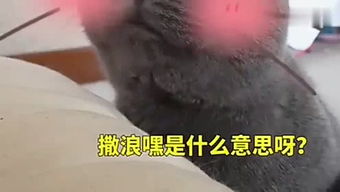 无名指的约定情侣网名，无名指的约定网名好不好听