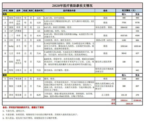 账目的意思