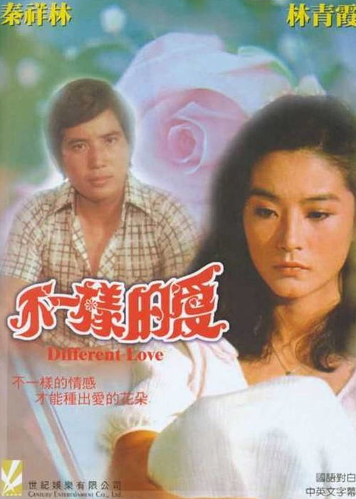 不一样的爱作文，不一样的爱赞美诗歌