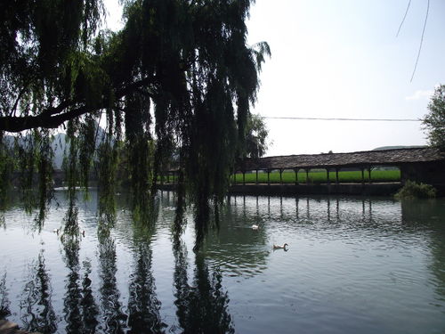 怎样形容一条清澈的小河