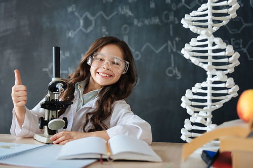 须眉是什么意思