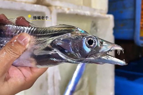 净海龙王，净海龙张喜龙