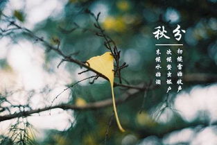 秋分养生注意事项有哪些