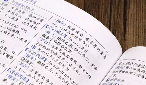 表示近义词是什么 表示的意思与近义词