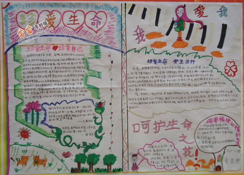 关于珍爱生命呵护健康的手抄报 珍爱生命手抄报