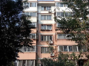 林苑爱过晋滁吗