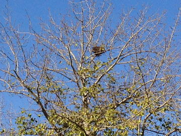 我 葛姓,家谱说是山东益都县喜鹊窝迁移到江苏泗阳,不知道在什么地方_百 