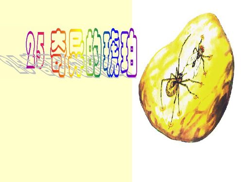 琥珀课件免费，琥珀教学课件
