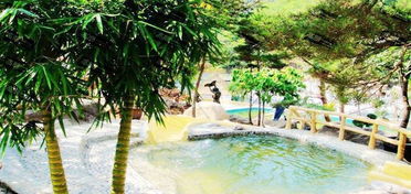 大连十大温泉推荐哪家温泉?