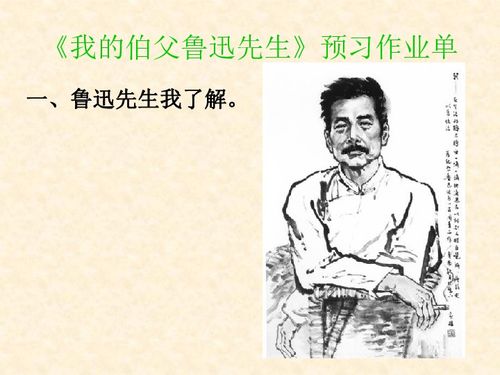 我的伯父鲁迅先生读后感450字，我的伯父鲁迅先生读后感100字