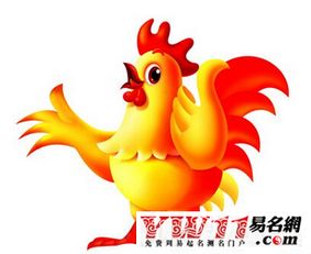 四月出生的鸡宝宝取名，四月的鸡宝宝好不好