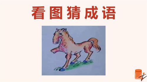 马组词有哪些词语